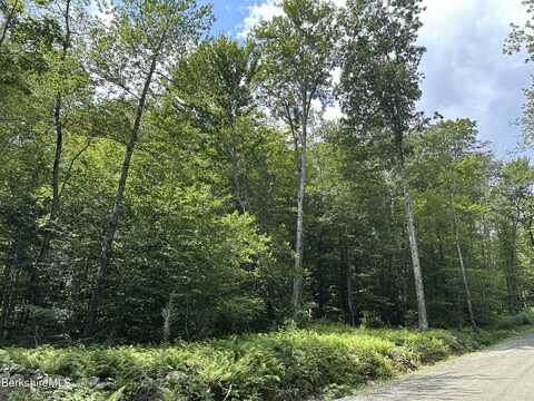 Lot 4 Ore Bed Rd, Lanesborough, MA 01237