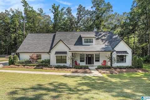 320 GRAY FOX ROAD, SPRINGVILLE, AL 35146