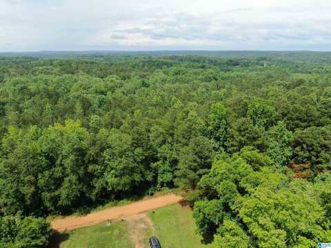 COUNTY ROAD 536, MARBURY, AL 36051