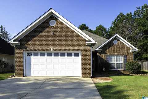 100 TRELLIS CIRCLE, SPRINGVILLE, AL 35146