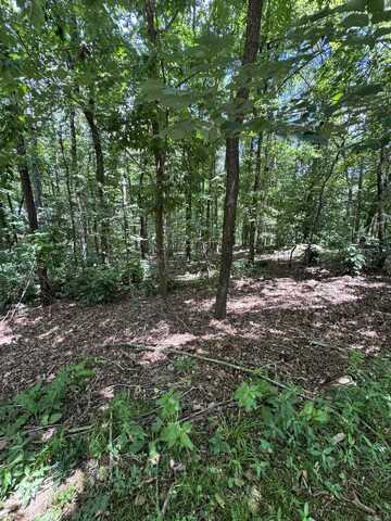 49 La Granja Circle, Hot Springs Village, AR 71909