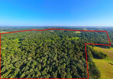 TBD Otter Slide Road, Horatio, AR 71842