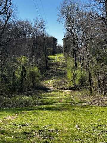 TBD Otter Slide Road, Horatio, AR 71842