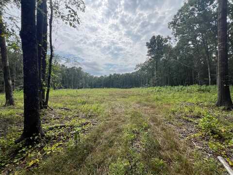 00 Caney Valley Road, Plummerville, AR 72127