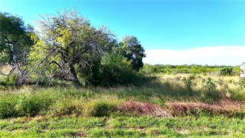 810 E FM 771, Riviera, TX 78379