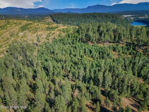 L1 Smokewood Dr, Athol, ID 83801
