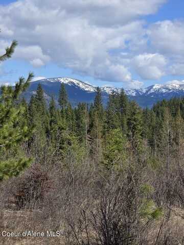 Nka Mutch Creek Road, Saint Maries, ID 83861