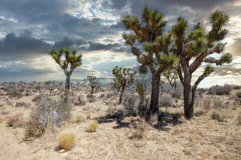 112 Angel View Road, Pioneertown, CA 92268