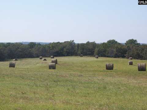 Water Tank Road, Pelion, SC 29123