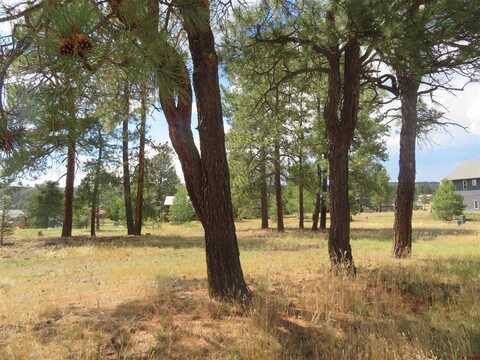 142 Hatcher Circle, Pagosa Springs, CO 81147