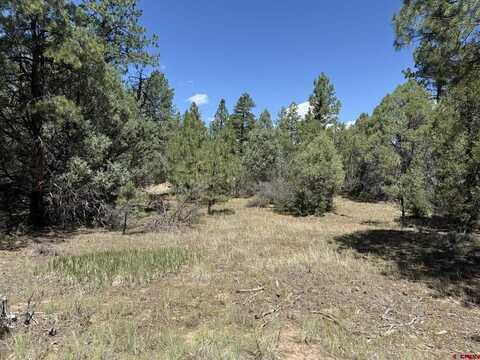 124 Susan's Place, Pagosa Springs, CO 81147