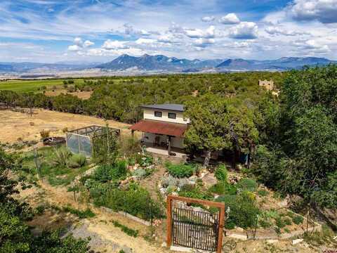 31807 B50 Road, Crawford, CO 81415