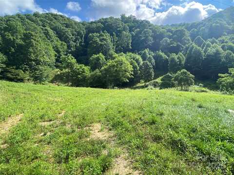 99999 Foster Creek Road, Marshall, NC 28753