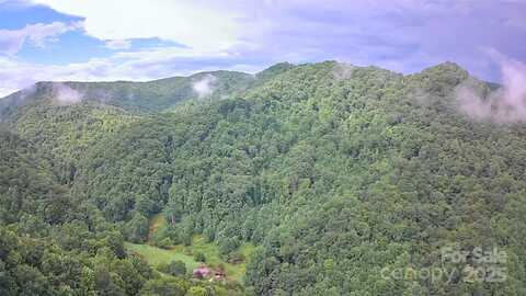 99999 Foster Creek Road, Marshall, NC 28753