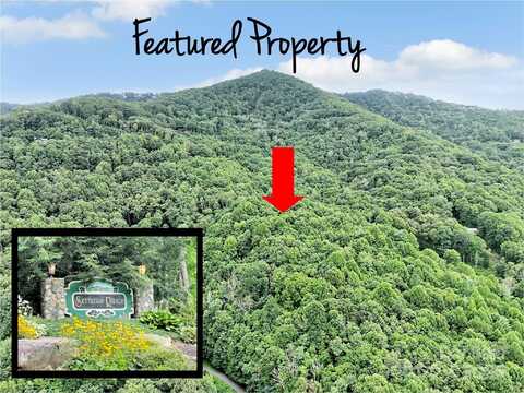 Trickle Creek Road, Waynesville, NC 28785