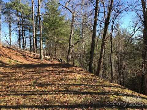 Saturn Way, Topton, NC 28781