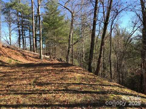 Saturn Way, Topton, NC 28781