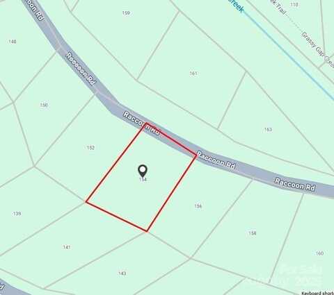 154 Raccoon Road, Beech Mountain, NC 28604