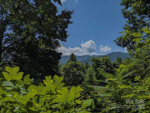 Mystic View Lane, Black Mountain, NC 28711