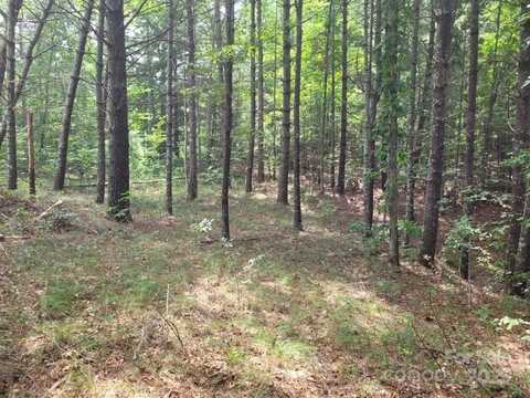 Scenic Vista Drive lot: 278, Nebo, NC 28761