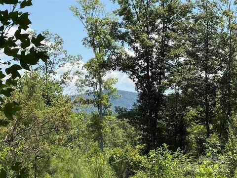 Collins Road unit: 4, Bostic, NC 28018