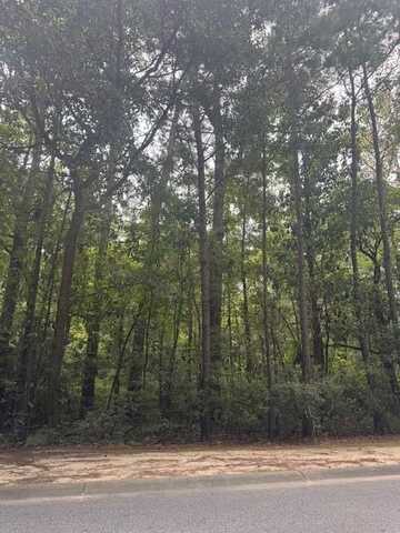 915 Lincolnville Avenue, Lincolnville, SC 29485