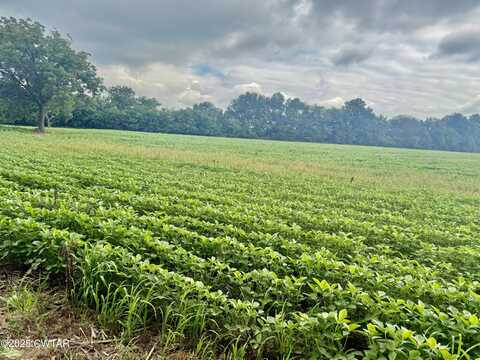 3103 Armstrong Road, Union City, TN 38261