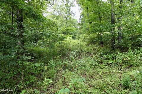 1124 Lick Creek Boat Dock Loop, Parsons, TN 38363