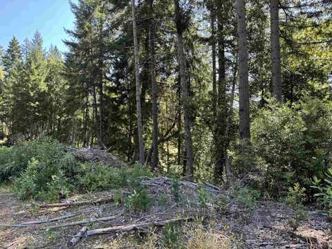 00 Big Flat, Crescent City, CA 95531