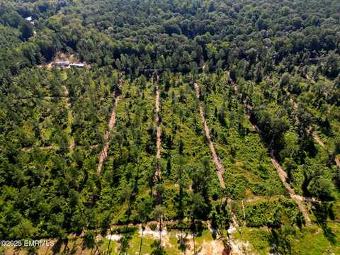 Hickory Hills Circle, Collinsville, MS 39325