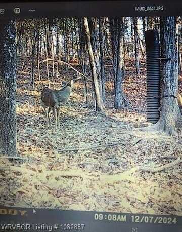TBD Dollard RD, Mountainburg, AR 72946