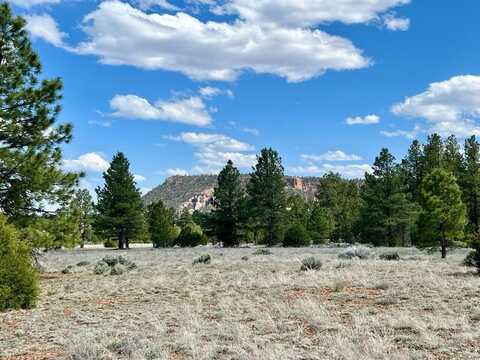 Culebra Drive lot: 70, Ramah, NM 87321