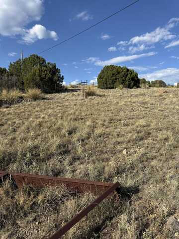 314 Durango Street, Silver City, NM 88061