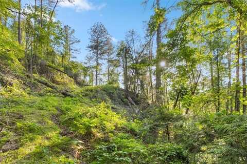 0 Chastain Court, Marble Hill, GA 30148