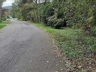 60 Wisconsin Drive, BINGHAMTON, NY 13901