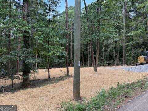 Lot 195 Shenendoa, Ellijay, GA 30540