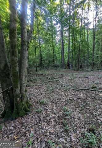 4.2 +/-ACRES River, Ellenwood, GA 30294