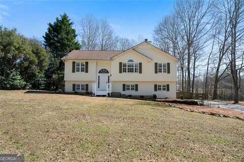 4312 DANIEL, Winston, GA 30187