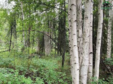NHN PEGER ROAD, FAIRBANKS, AK 99709
