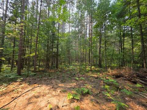 Lot 50 WHITETAILED DEER DR, Tomahawk, WI 54487