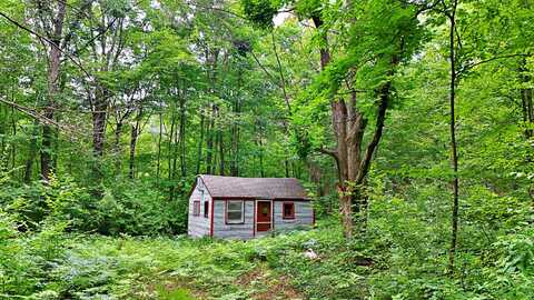 2093 N 47 Road, Manton, MI 49663