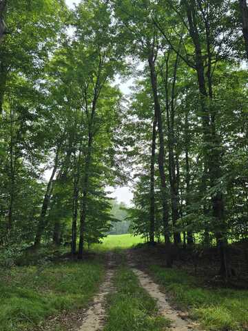 V/L 21 Mile Road, Tustin, MI 49688