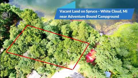 Vacant S Spruce Avenue, White Cloud, MI 49349