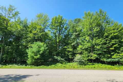 6127 Fawn Lake Drive, Canadian Lakes, MI 49346