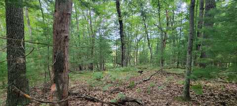 Vl Trail of the Lakes, Baldwin, MI 49304