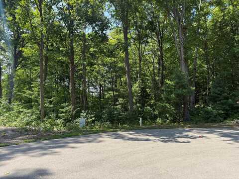 14672 Crest View Court, South Haven, MI 49090