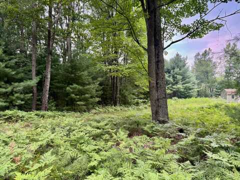 6362 Cedar Trace, Canadian Lakes, MI 49346