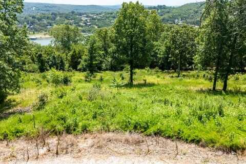 118 Whispering Drive, Blue Eye, MO 65611