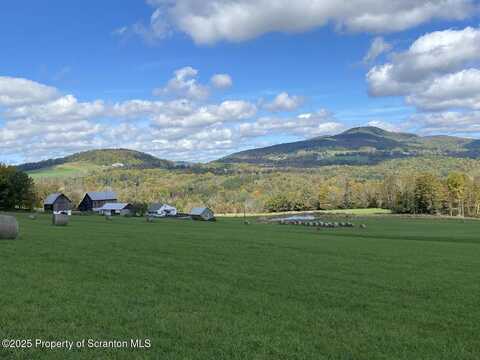 2416 State Road 2012, Clifford Twp, PA 18421