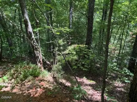 Lot 1302 Balsam Circle, Sevierville, TN 37876
